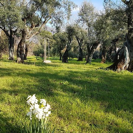 Affittacamere Antico Uliveto Seravezza Esterno foto