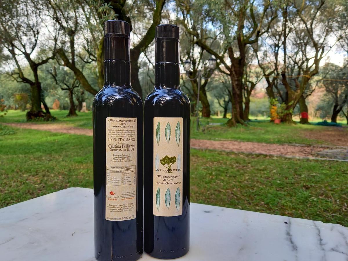 Affittacamere Antico Uliveto Seravezza Esterno foto