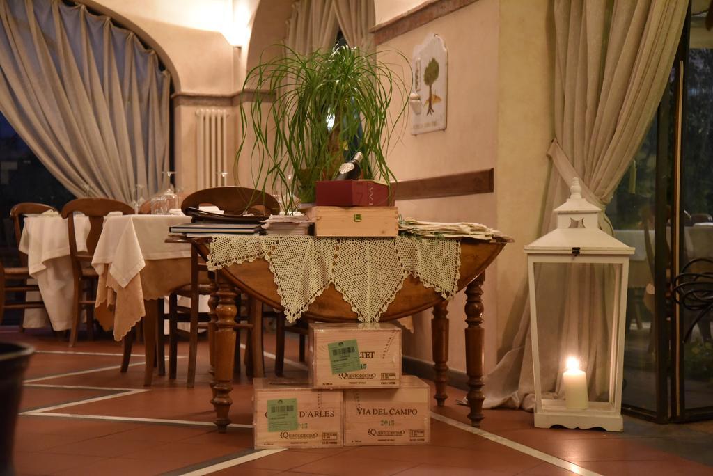Affittacamere Antico Uliveto Seravezza Esterno foto