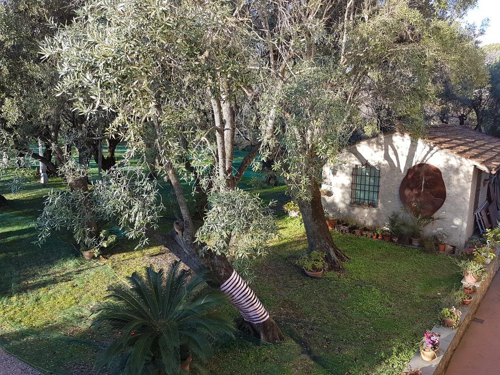 Affittacamere Antico Uliveto Seravezza Esterno foto