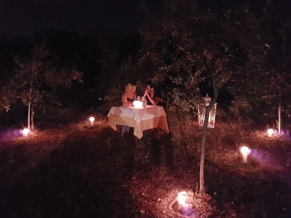 Affittacamere Antico Uliveto Seravezza Esterno foto